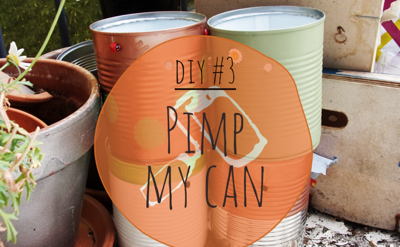 pimmycan_une3
