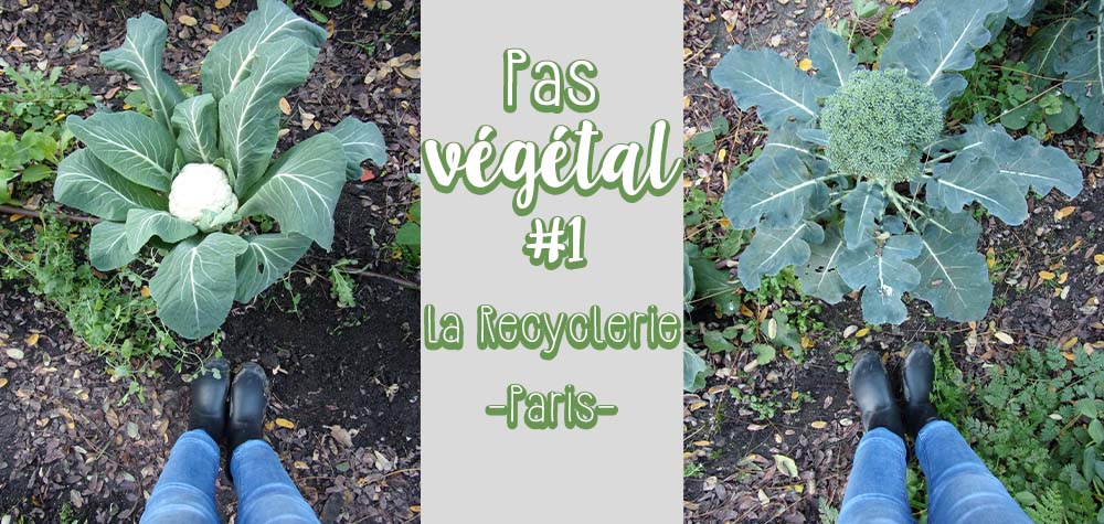 Pas végétal #1 à la découverte de La recyclerie ferme urbaine en plein Paris