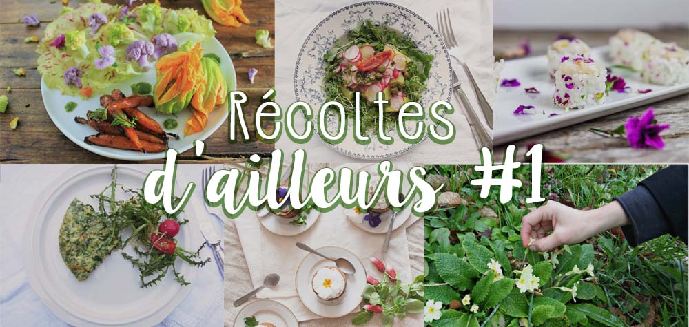 récoltes d'ailleurs recettes fleurs comestibles et vegan