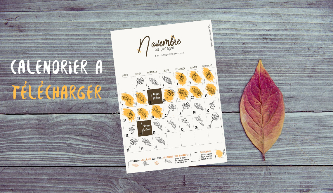 Calendrier pour jardiner avec la lune en novembre 2016 au potager de balcon à télécharger