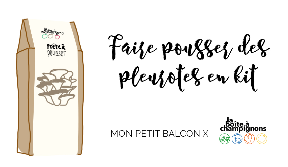 pleurot