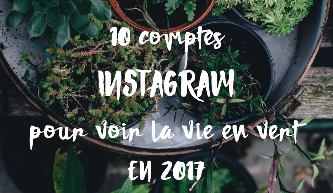 10 comptes Instagram pour voir la vie en vert en 2017 blog potager balcon