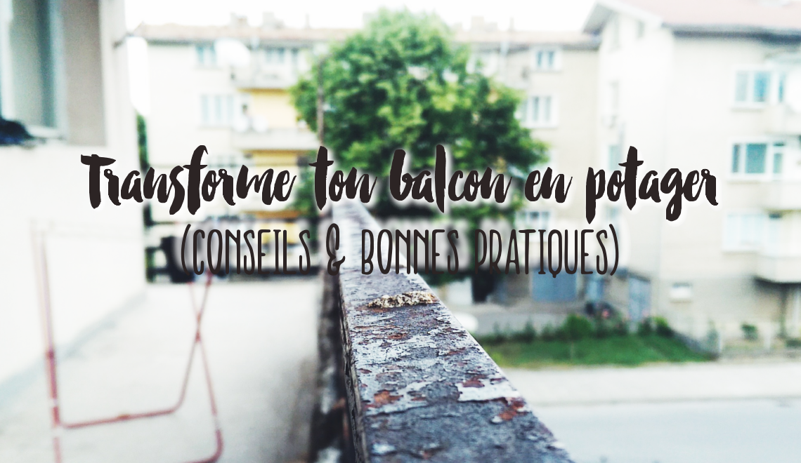 Créer un potager sur balcon (conseils, fiches pratiques)