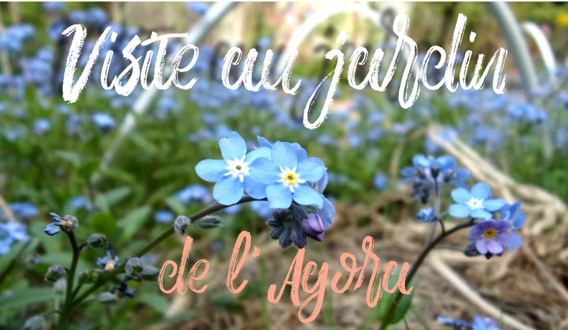 Mes petits pas verts #2 : jardin partagé de l'Agora à Nanterre